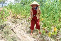 Vượt lên tật nguyền