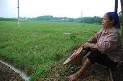 Một số vấn đề liên quan đến quyền của nông dân đối với ruộng đất