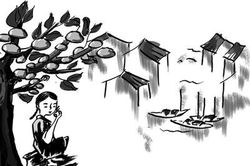 Mùa thị bên sông