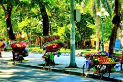 Gặp những sắc màu lãng mạn này chẳng ai có thể quên mùa thu Hà Nội