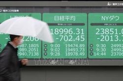 Sở Giao dịch chứng khoán Tokyo thông báo kế hoạch mở lại