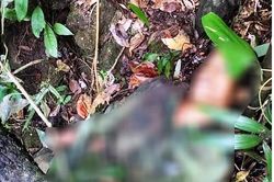 Quảng Ngãi: Vào rừng săn khỉ, súng cướp cò khiến một bạn săn tử vong