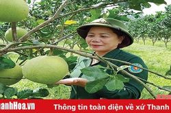 Tự lực, tự cường để vượt qua mọi khó khăn, làm giàu chính đáng