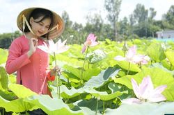 Du lịch nông nghiệp - đòn bẩy mới cho kinh tế xứ Sen hồng