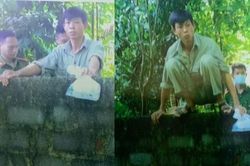 Gã rể 'quý', dùng thuốc trừ cỏ định hãm hại nhà vợ