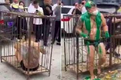 Chú rể bị nhốt trong lồng sắt, ném trứng, tạt sơn trong đám cưới ở Trung Quốc