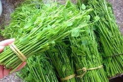 Loại rau tên nghe đã 'bốc mùi' nhưng là đặc sản Lạng Sơn, ai ăn được thì lại nghiện
