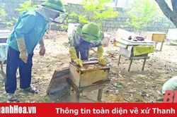 Xây dựng các mô hình sinh kế cho người dân ở các xã bãi ngang