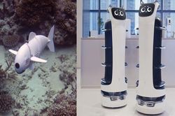 Những robot động vật giúp cuộc sống của bạn trở nên dễ dàng hơn