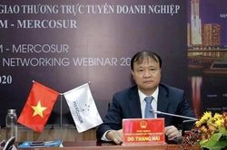 200 doanh nghiệp dự Hội nghị giao thương trực tuyến Việt Nam-Mercosur