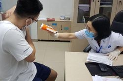 Kiến ba khoang 'tấn công' Hà Nội