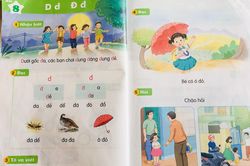 'Chương trình Tiếng Việt 1 hiện tại nặng nhất trong gần 30 năm nay'