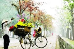 Gọi xanh về