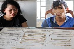 Bắt đối tượng giật 46 sợi dây chuyền trong tòa thánh Tây Ninh