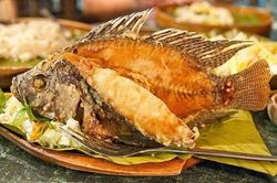 4 loại cá tuyệt đối không được cho trẻ ăn