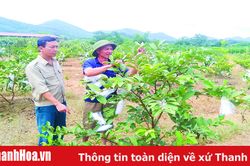 Huyện Cẩm Thủy đưa nghị quyết vào cuộc sống
