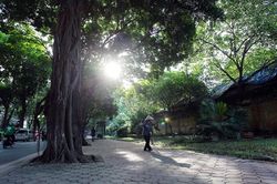 Cả tuần, Hà Nội ngày nắng hanh, sáng sớm và đêm se lạnh