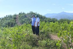 Quảng Trị: Cty Lâm nghiệp Đường 9 buông lỏng quản lý để người lạ xâm lấn hơn 800 ha đất rừng