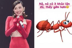 Tóc Tiên chê eo 'con kiến', tiết lộ 'vòng eo con người' của mình