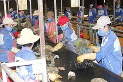 Nỗ lực hoàn thành các chỉ tiêu về môi trường