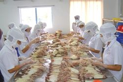 Xuất khẩu mực, bạch tuộc sang Trung Quốc tăng 53%