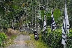 Xóm trưởng bị ong đốt chết khi bắt ong trong vườn