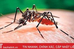Lào ghi nhận gần 7.000 ca mắc sốt xuất huyết từ đầu năm đến nay