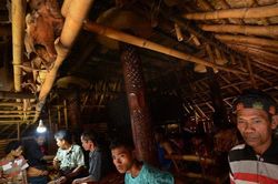 'Rợn người' về hủ tục bắt cóc cô dâu trên đảo Sumba