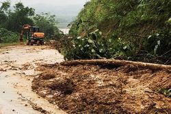 Đi cho lợn ăn, người đàn ông bị lũ cuốn tử vong