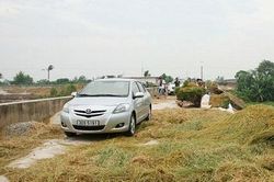 Ở nông thôn, chỉ làm nông nghiệp có nên sắm 'xế hộp'?