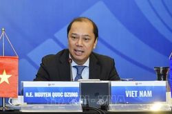 Hội nghị trực tuyến Quan chức Cao cấp (SOM) ASEAN
