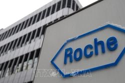 Hãng Roche xin lỗi vì gây gián đoạn chương trình xét nghiệm, truy vết ở Anh