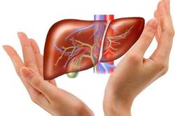 Uống loại nước này mọi độc tố trong gan được thải hết lại ngừa ung thư hiệu quả