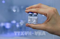 Tổng giám đốc WHO nhận định khả năng cuối năm nay có vaccine