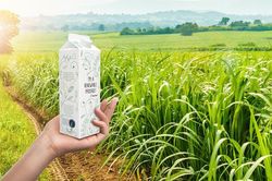 Bốn kịch bản cho ngành sữa năm 2030