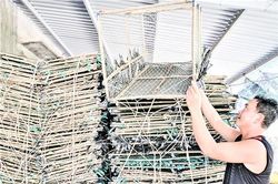Ra biển đặt lừ bóng mực lá