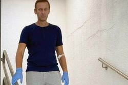 Tổ chức Cấm vũ khí Hóa học tìm thấy Novichok trong máu Navalny