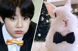 Cười ngất với những 'meme' chế theo 'Thỏ' Jungkook BTS