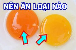 Tranh cãi trứng gà lòng đỏ đậm hay nhạt giàu dinh dưỡng hơn? Câu trả lời khiến nhiều người 'choáng'