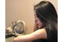 Đến làm nhân viên ở công ty của chị chồng, tôi vô tình biết được một thông tin đủ khiến gia đình chị lao đao