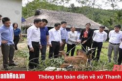Trao dê sinh sản cho hội viên nông dân nghèo tại xã Giao An