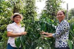 Kéo dài thời gian cho vay vốn sản xuất kinh doanh vùng khó khăn: Yêu cầu từ thực tế