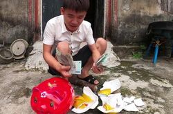 Giáo sư Nguyễn Minh Thuyết: Video phản cảm như 'trộm tiền em gái' của Hưng Vlog xử phạt hành chính là chưa đủ