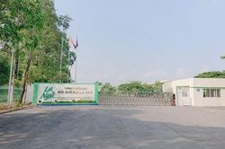 Công ty Mía đường La Ngà bị phạt hơn 4 tỷ đồng, đình chỉ hoạt động 9 tháng