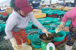 Khánh Hòa: Giá nhiều mặt hàng thủy sản đã tăng trở lại