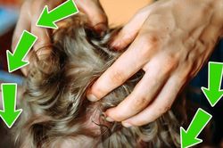5 kỹ thuật massage giúp bạn giảm căng thẳng hiệu quả