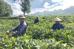Lào Cai với các giải pháp duy trì và thúc đẩy tăng trưởng kinh tế