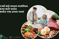 Chế độ dinh dưỡng khi bắt đầu điều trị ung thư