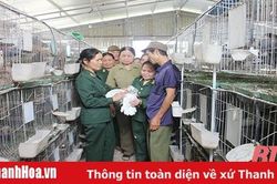 Nữ cựu thanh niên tình nguyện làm kinh tế giỏi