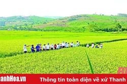Ứng dụng khoa học - công nghệ phục vụ phát triển kinh tế - xã hội khu vực miền núi